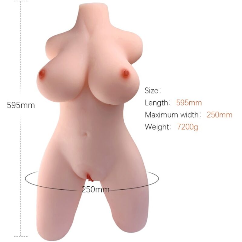 ARMONY - MODELLO REALISTICO DI TORSO FEMMINILE 2